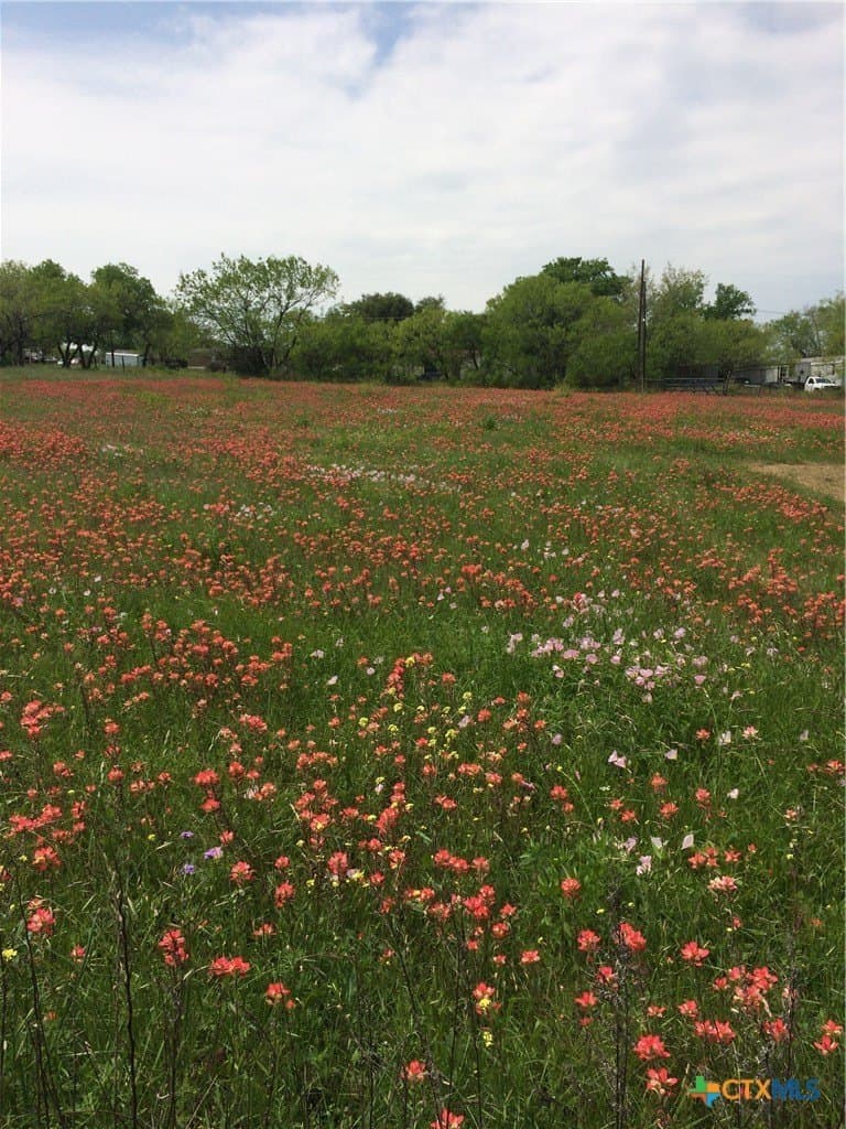 0.73 acres in Guadalupe County - photo 3