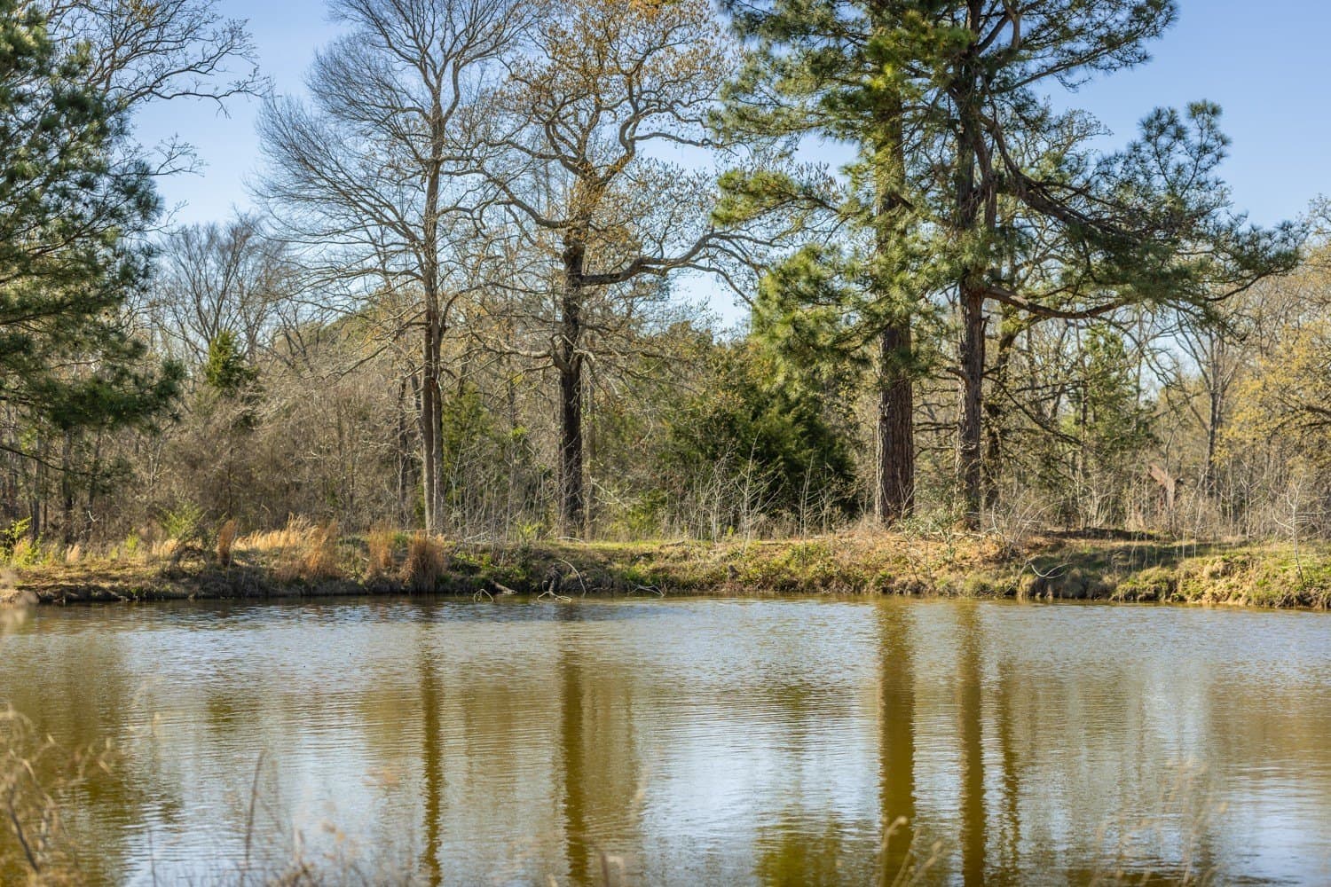 273.13 acres in Gregg County - photo 21