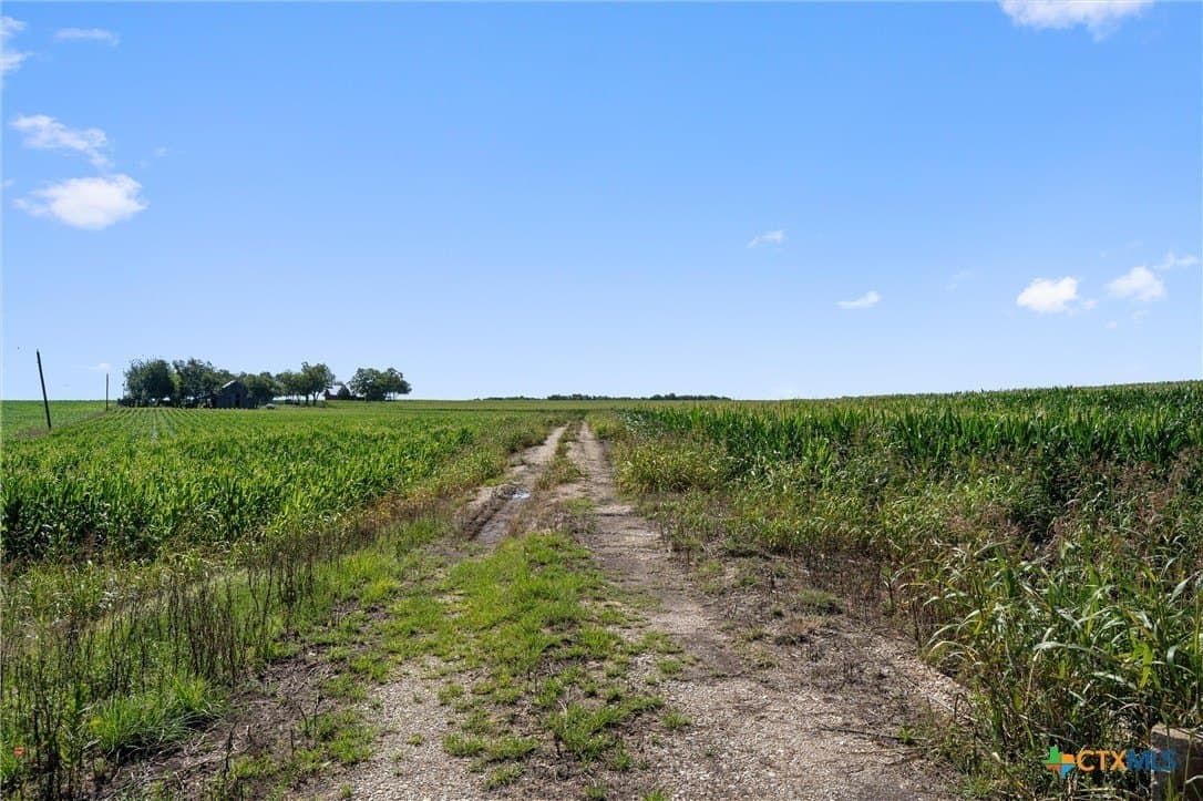 125.78 acres in Williamson County - photo 19