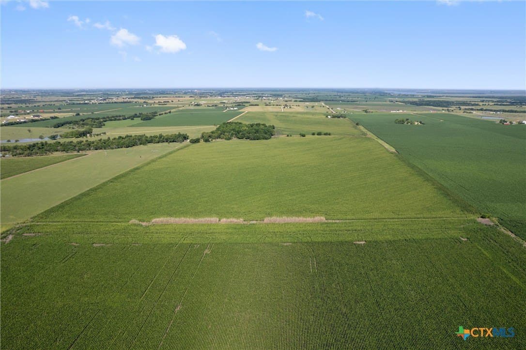 125.78 acres in Williamson County - photo 14