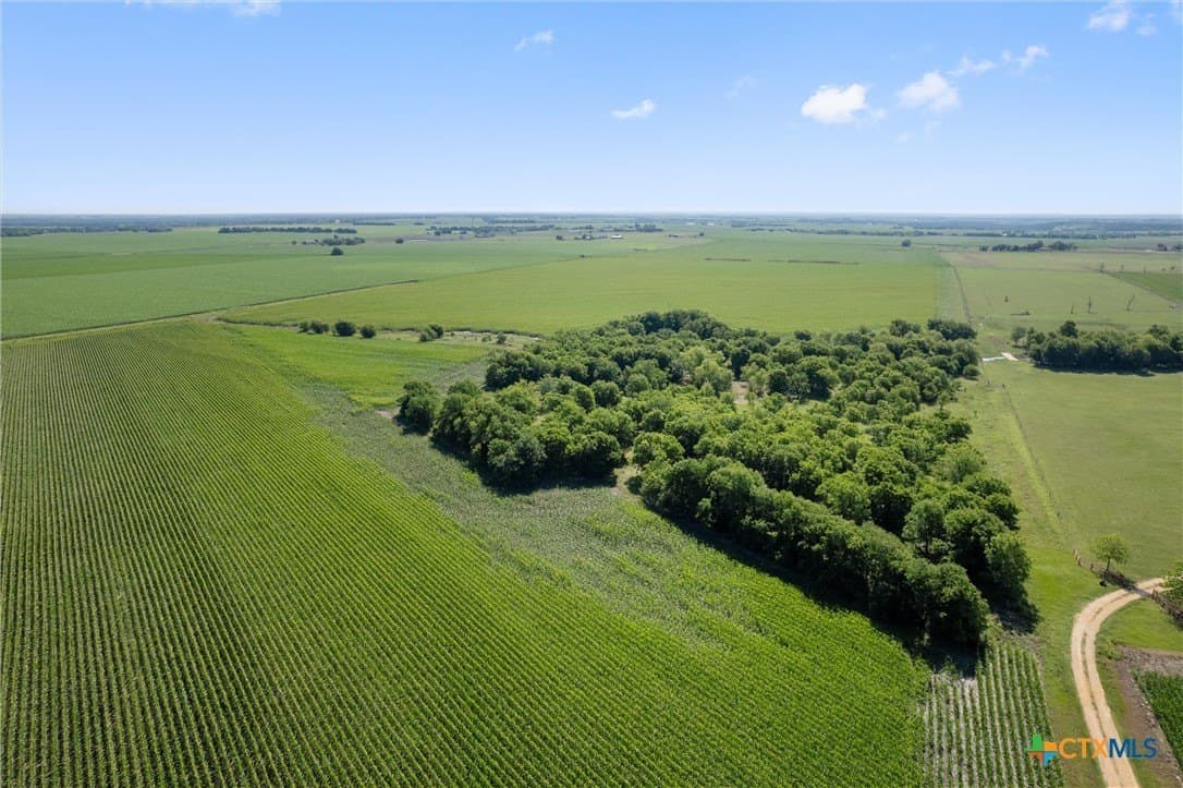 125.78 acres in Williamson County - photo 11
