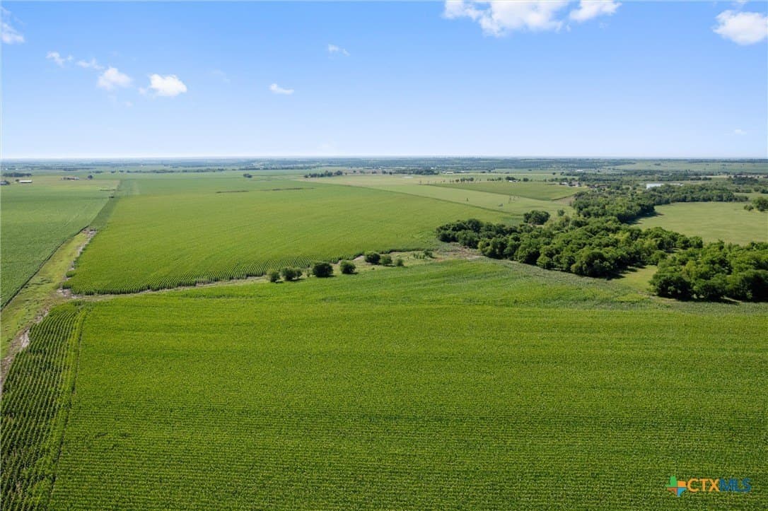 125.78 acres in Williamson County - photo 12