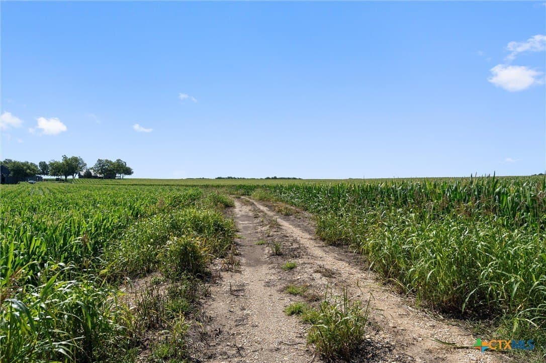 125.78 acres in Williamson County - photo 20