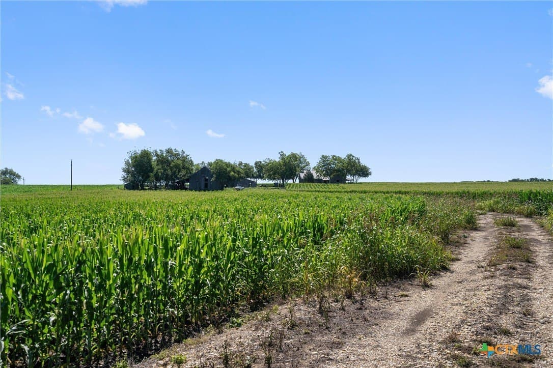 125.78 acres in Williamson County - photo 21