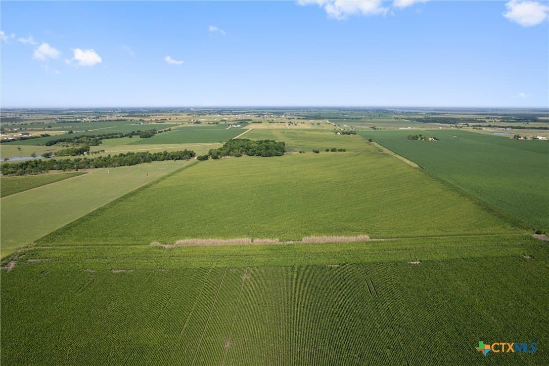 125.78 acres in Williamson County - photo 17