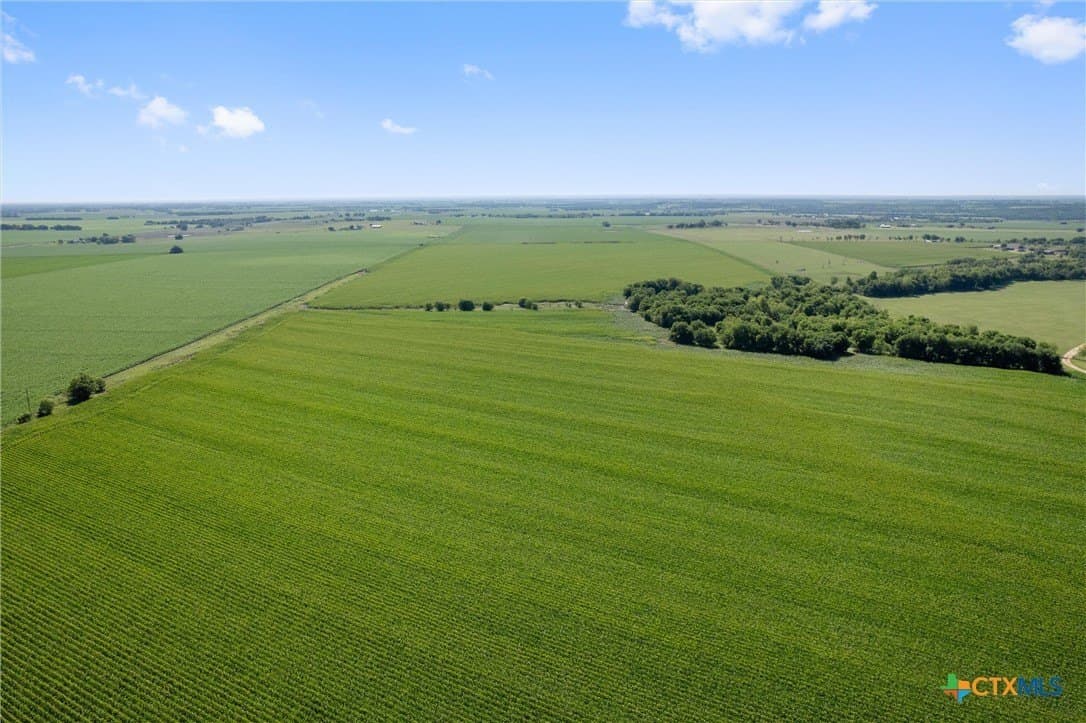 125.78 acres in Williamson County - photo 10