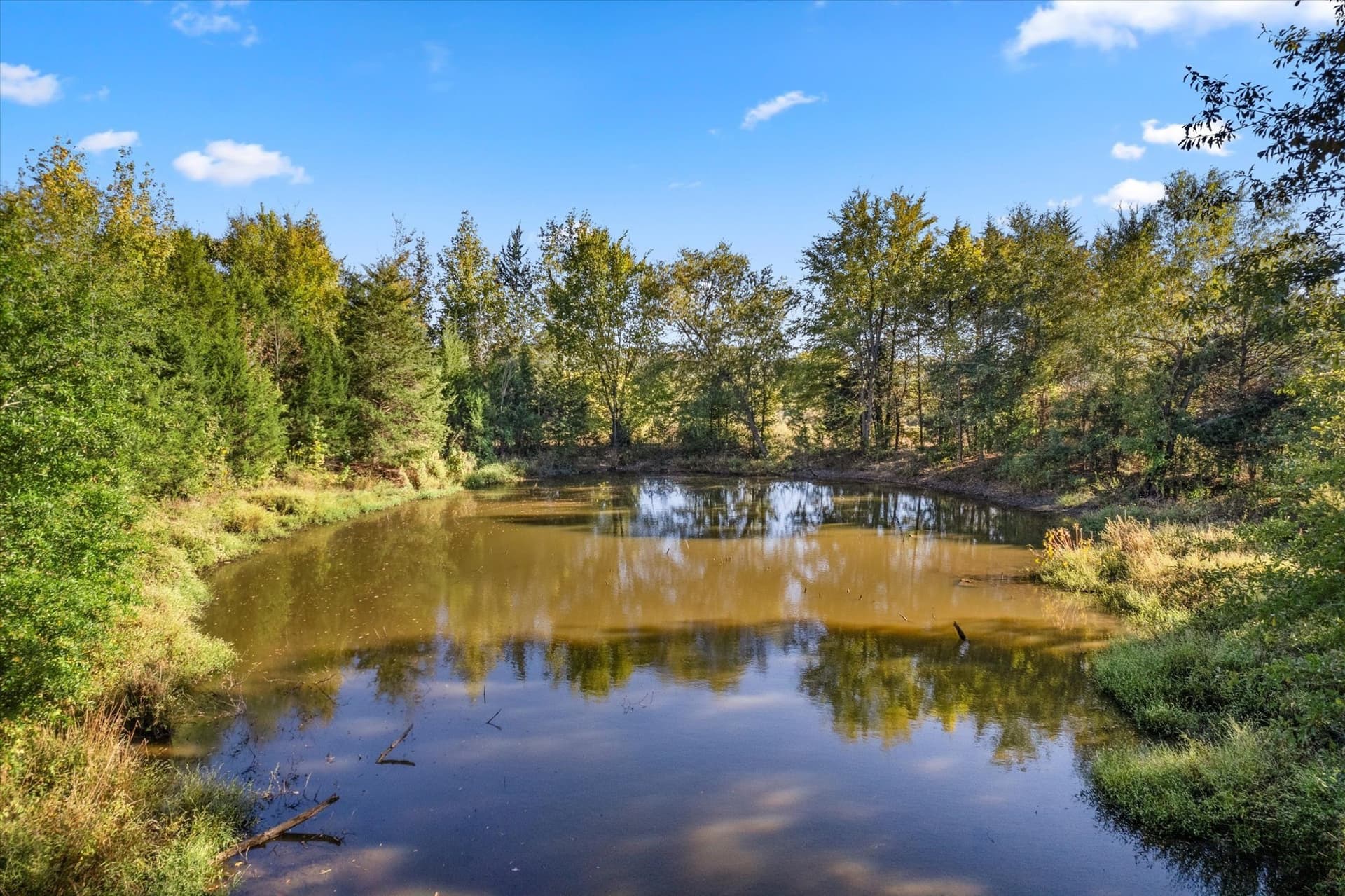 9.65 acres in Titus County - photo 15