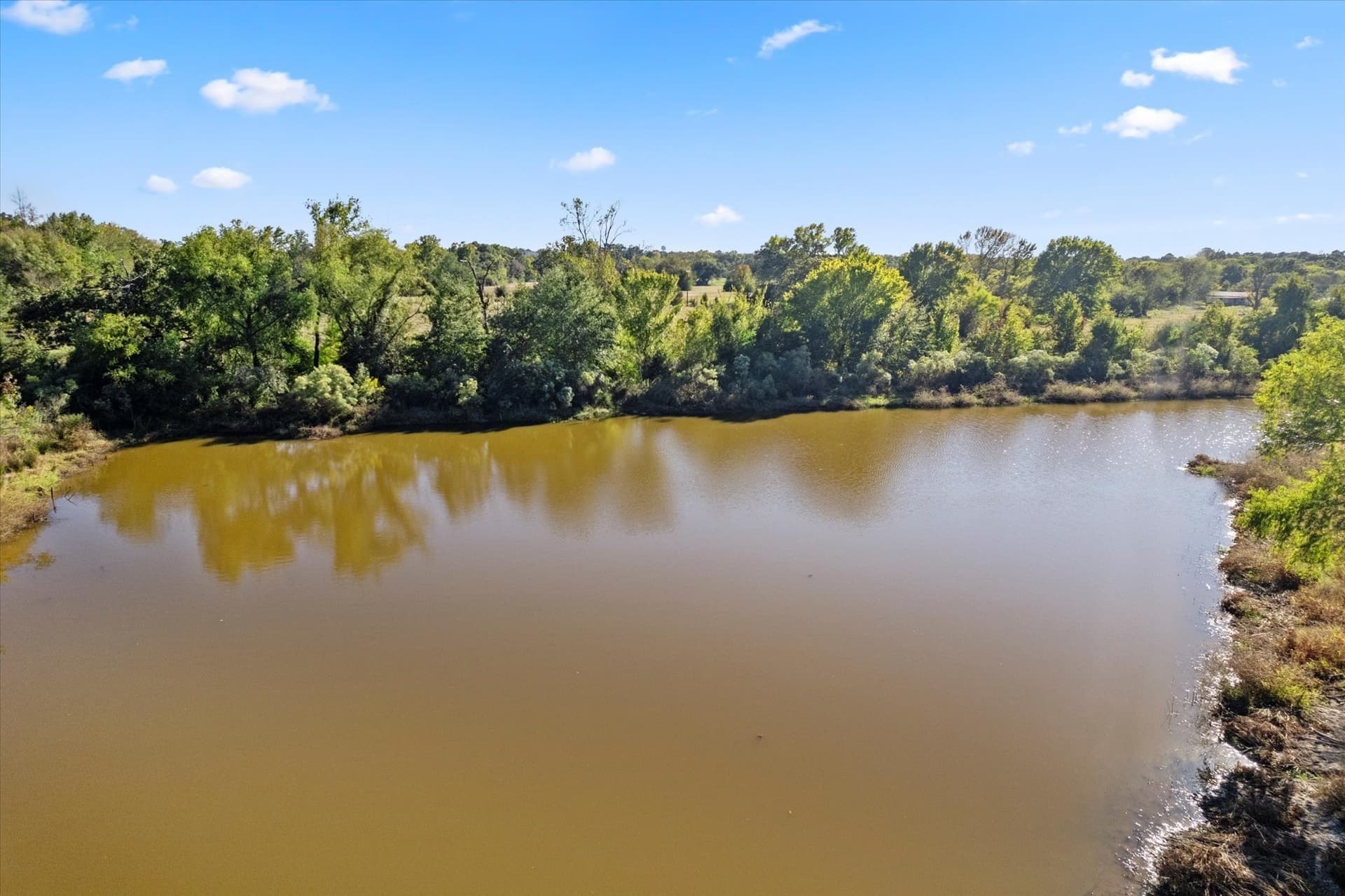 9.65 acres in Titus County - photo 8