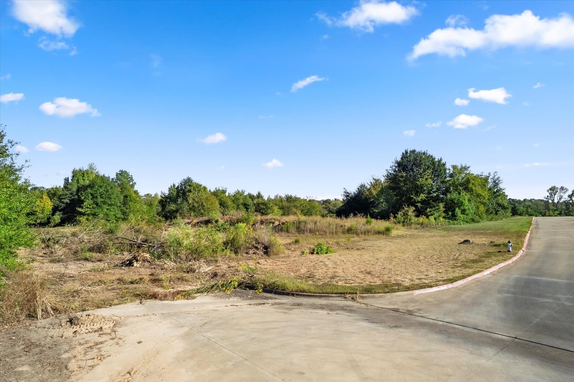9.65 acres in Titus County - photo 11