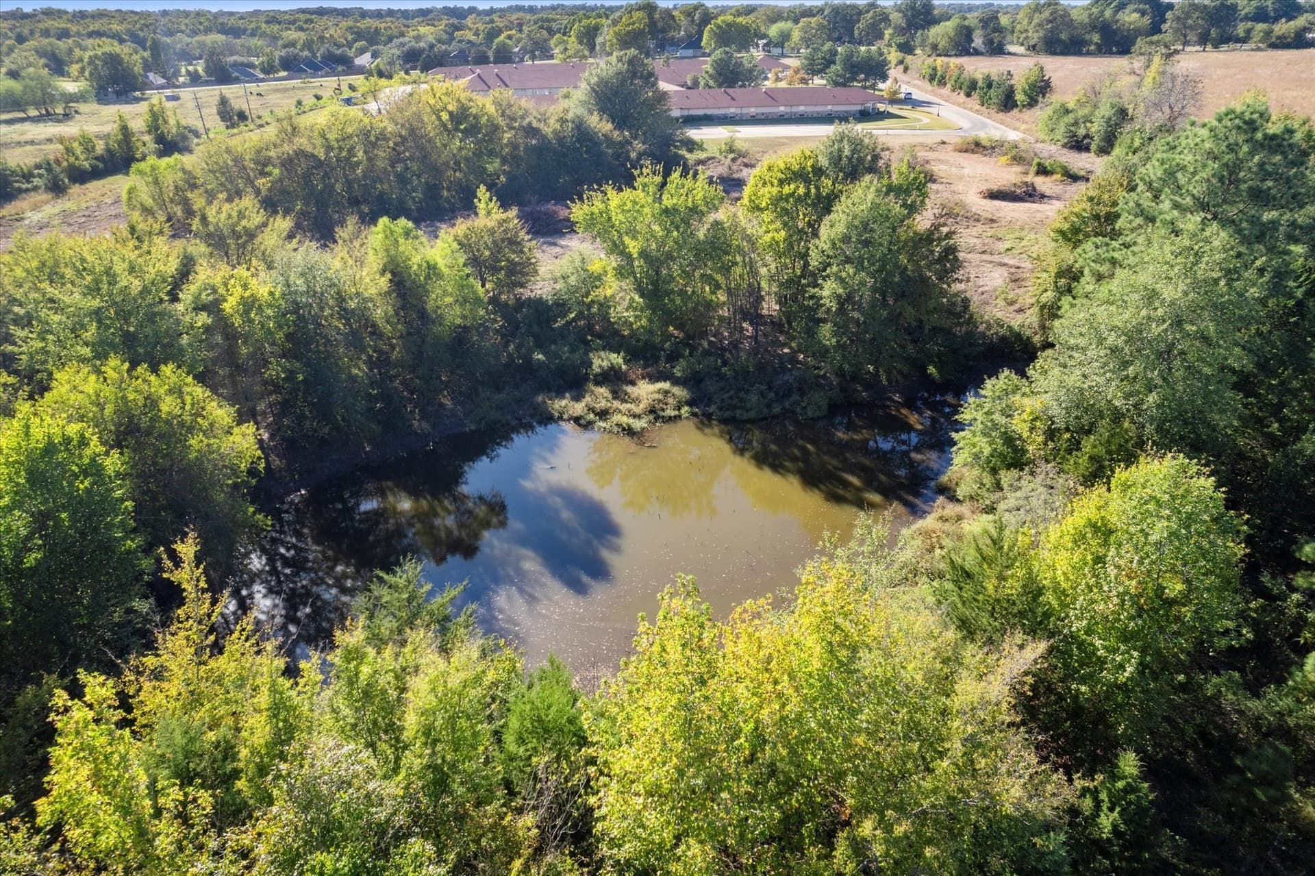 9.65 acres in Titus County - photo 9