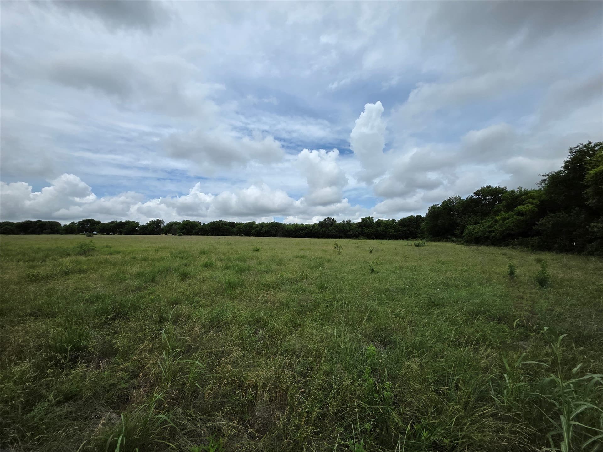 2 acres in Denton County gallery image 2
