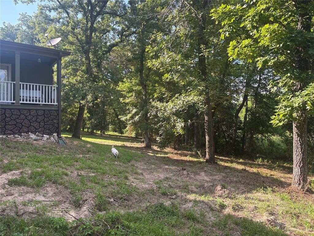 18.15 acres in Anderson County - photo 23
