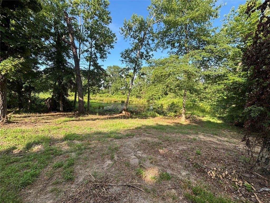 18.15 acres in Anderson County - photo 11
