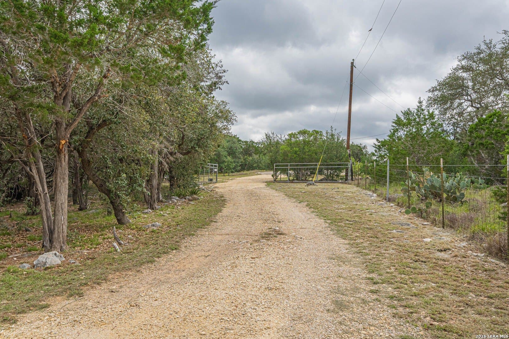 18.18 acres in Medina County gallery image 4