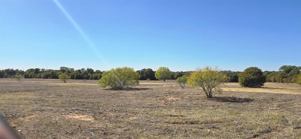 40.38 acres in Jones County gallery image 4