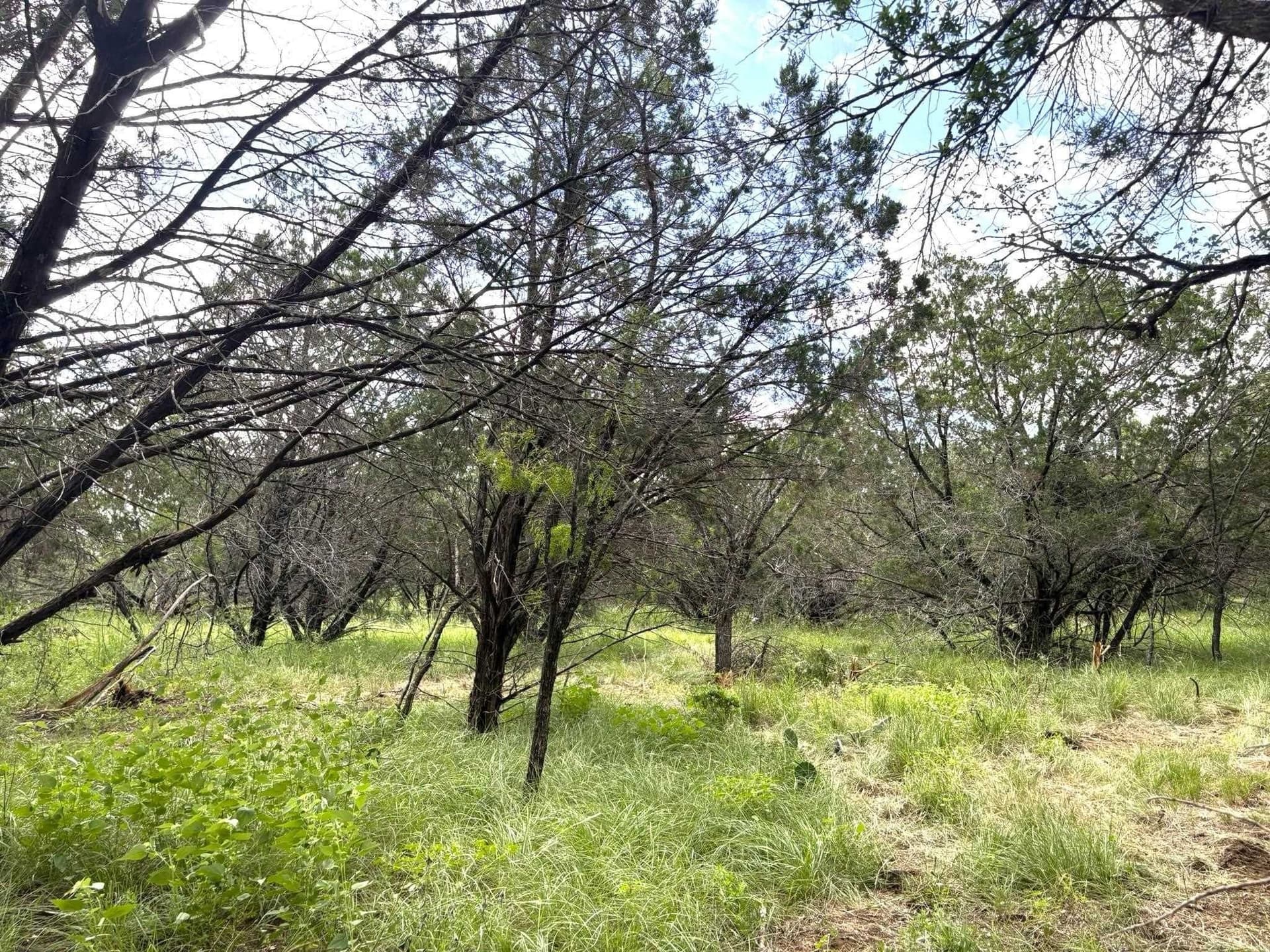 1.9 acres in Llano County - photo 9