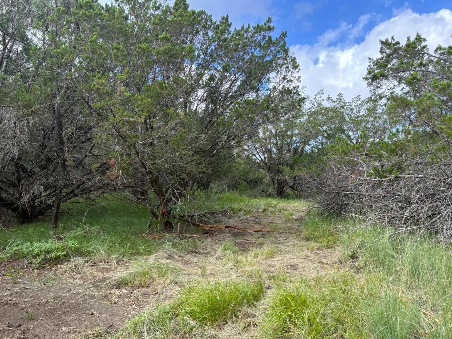 1.9 acres in Llano County - photo 6