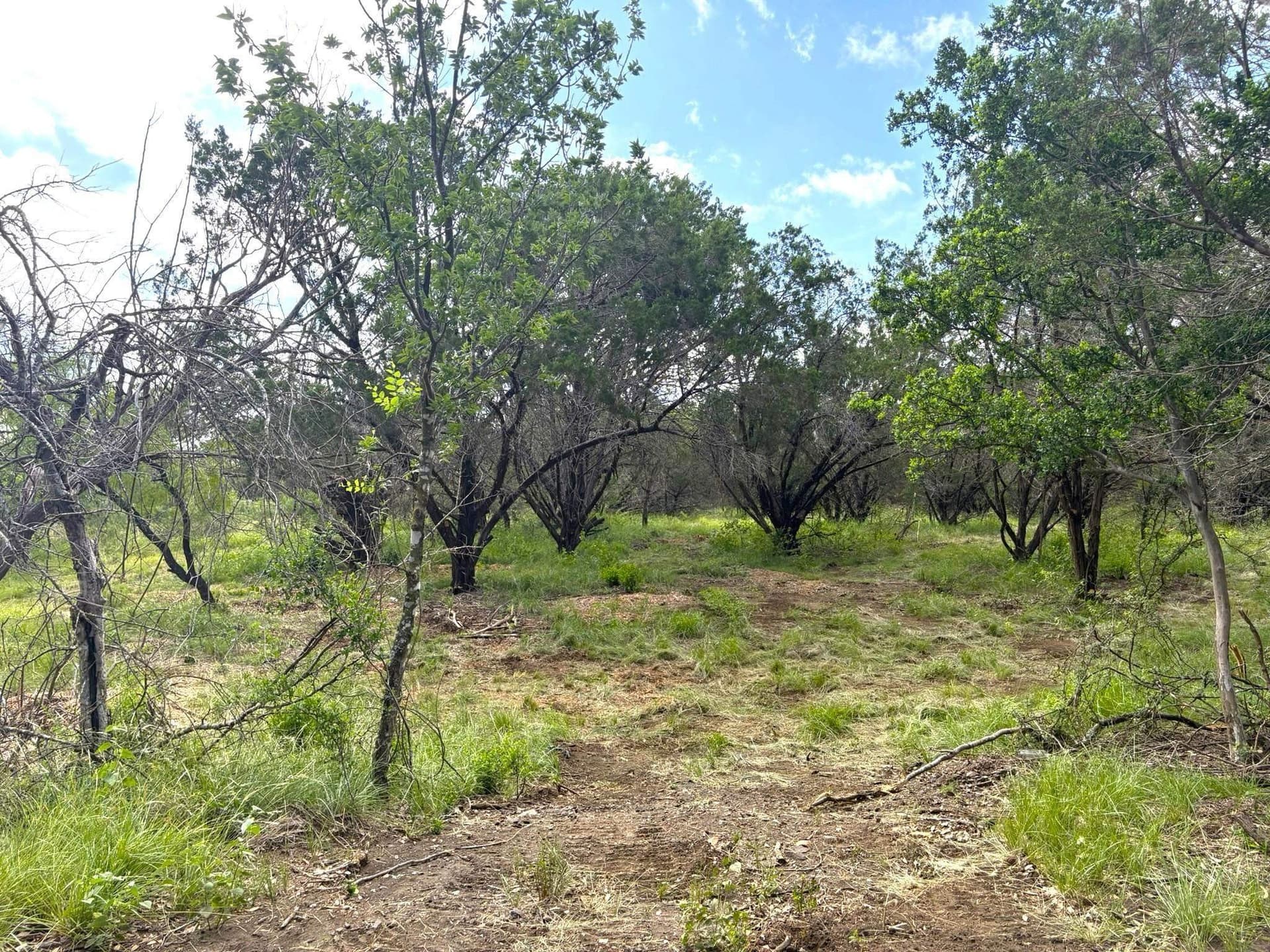 1.9 acres in Llano County - photo 5