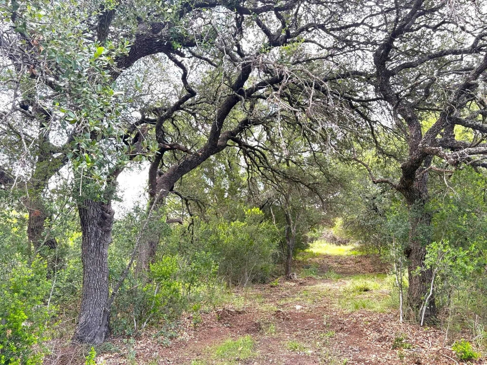 1.9 acres in Llano County - photo 12
