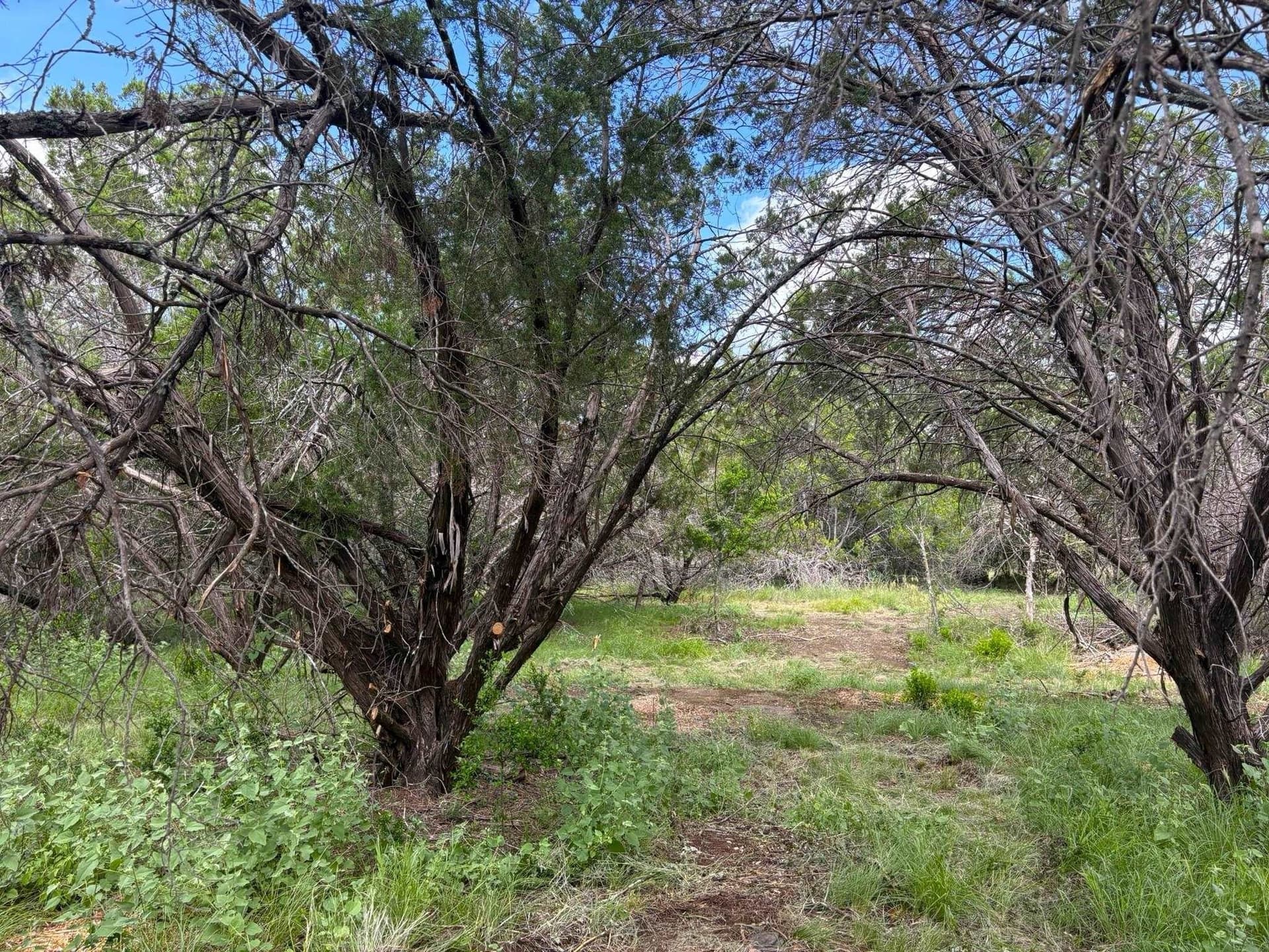 1.9 acres in Llano County - photo 7