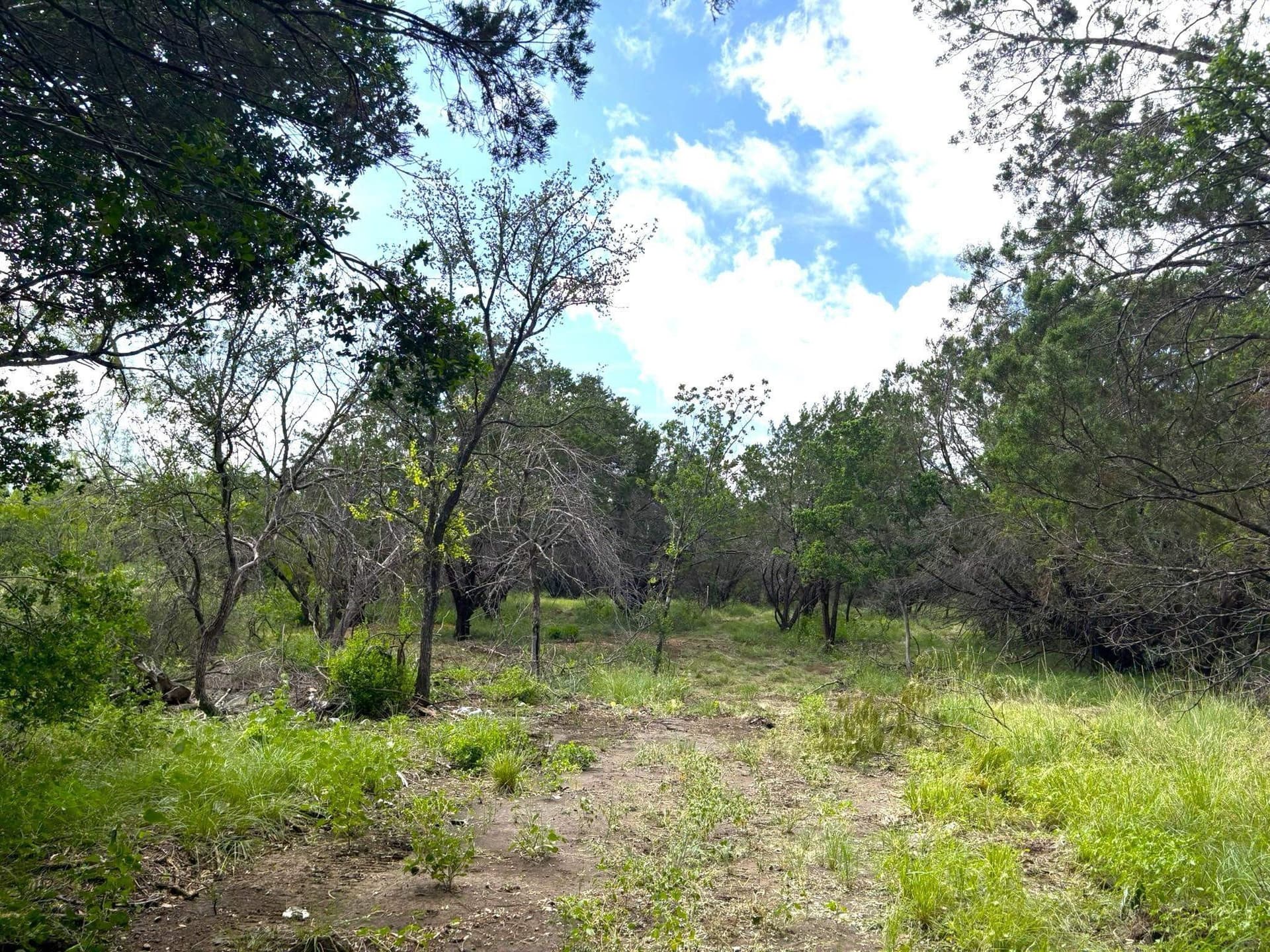 1.9 acres in Llano County - photo 11