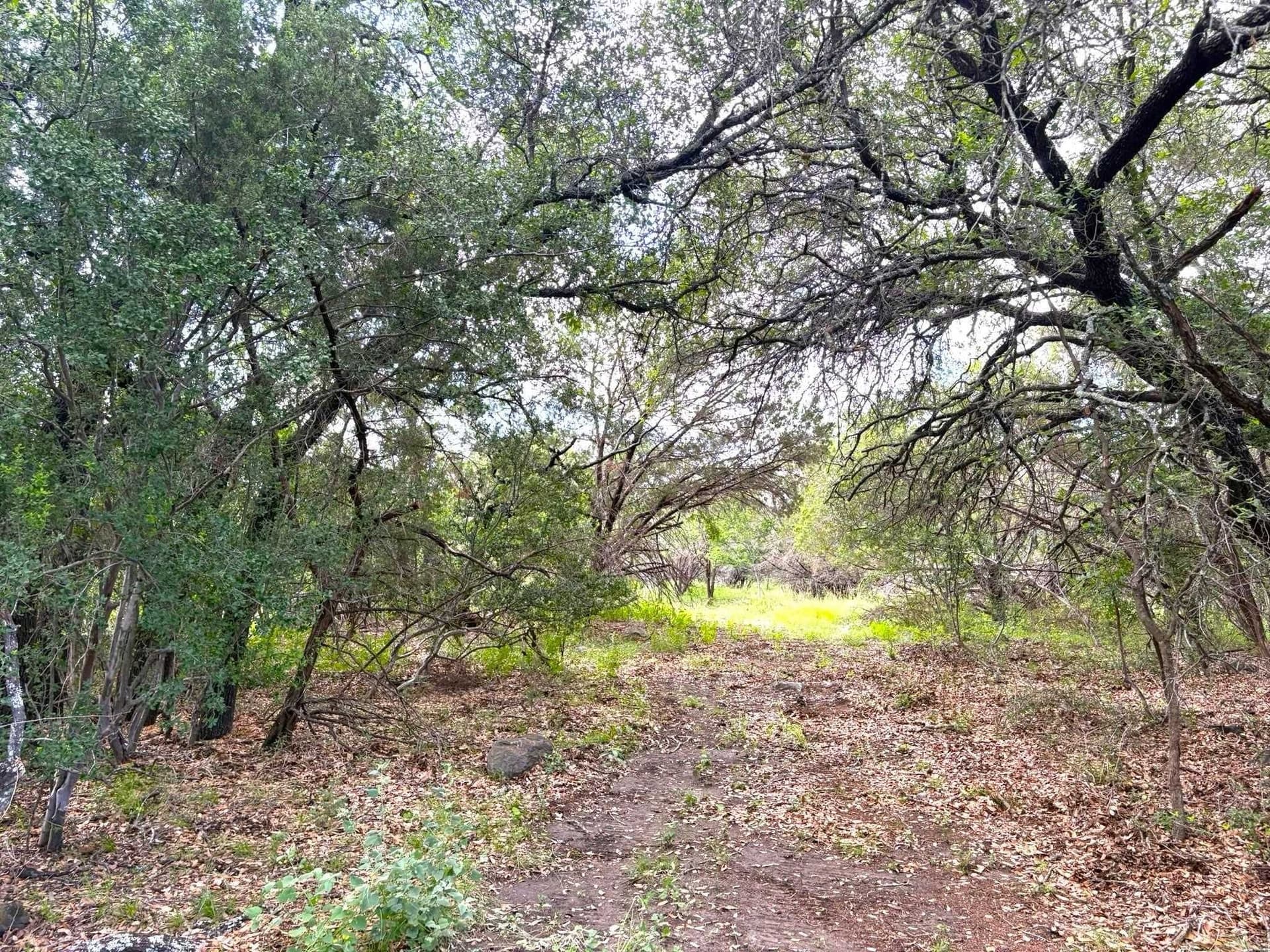 1.9 acres in Llano County - photo 3