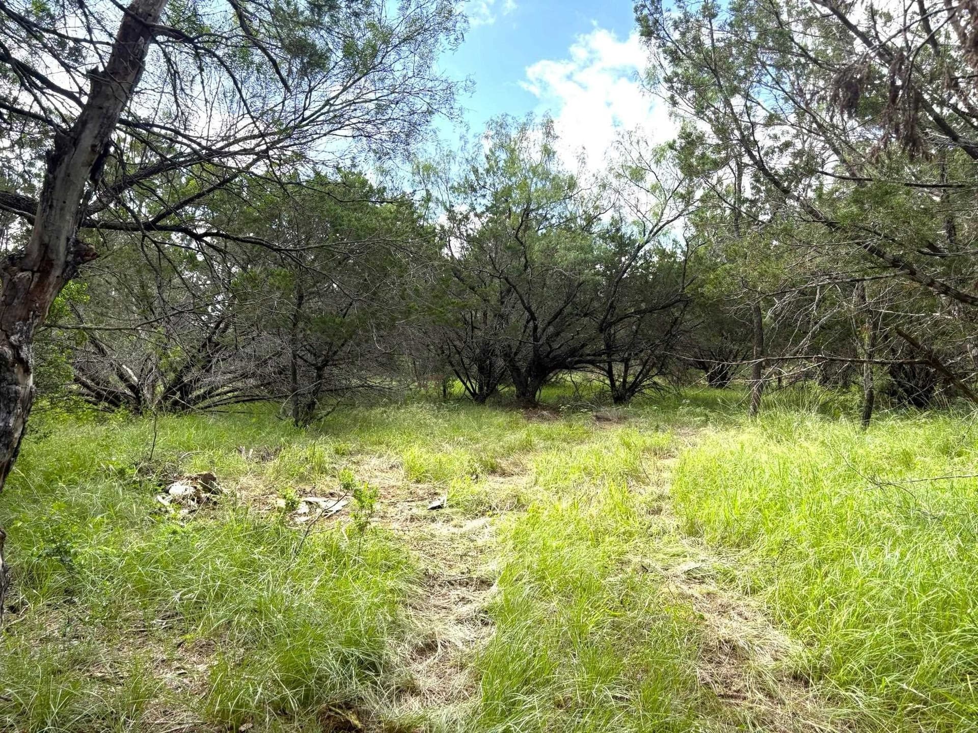 1.9 acres in Llano County - photo 8