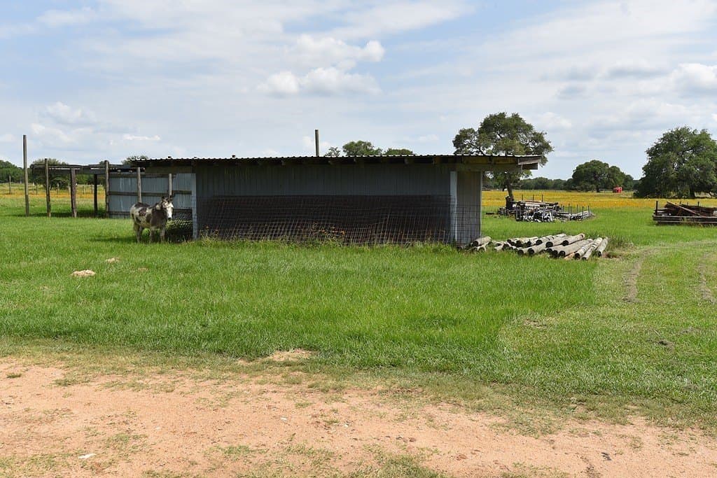 10.1 acres in Lavaca County - photo 10