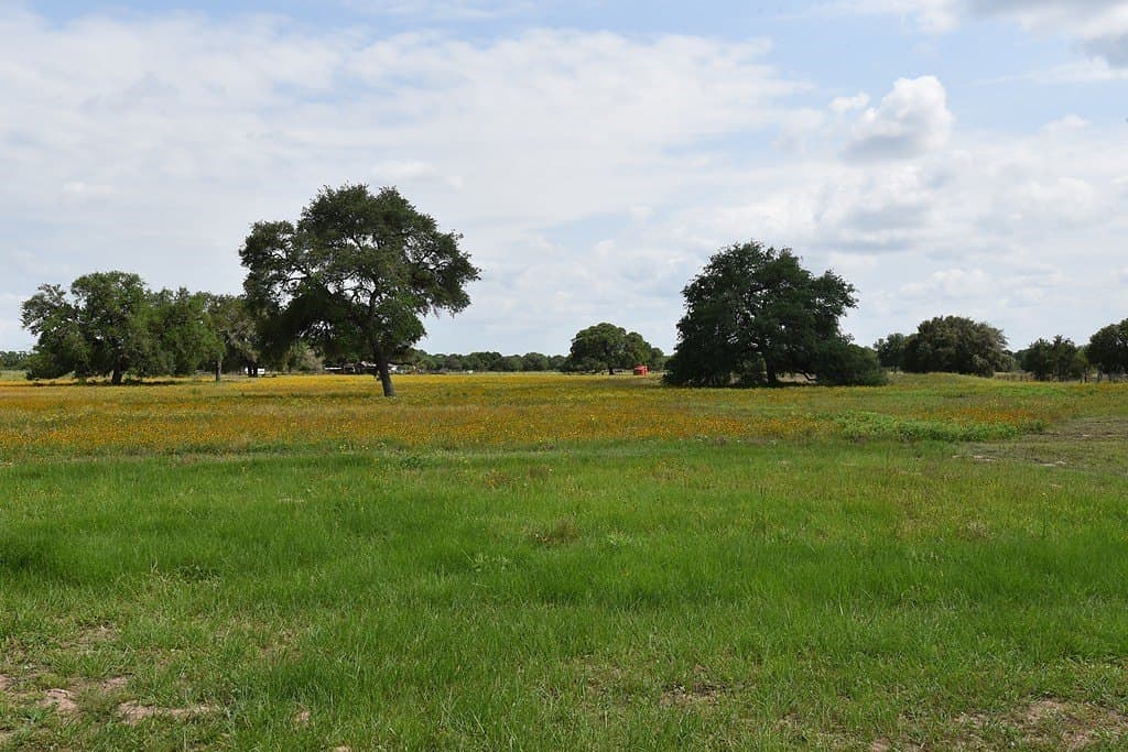 10.1 acres in Lavaca County - photo 6
