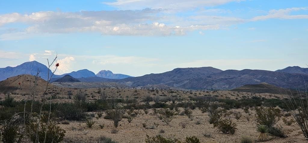 5 acres in Brewster County - photo 8