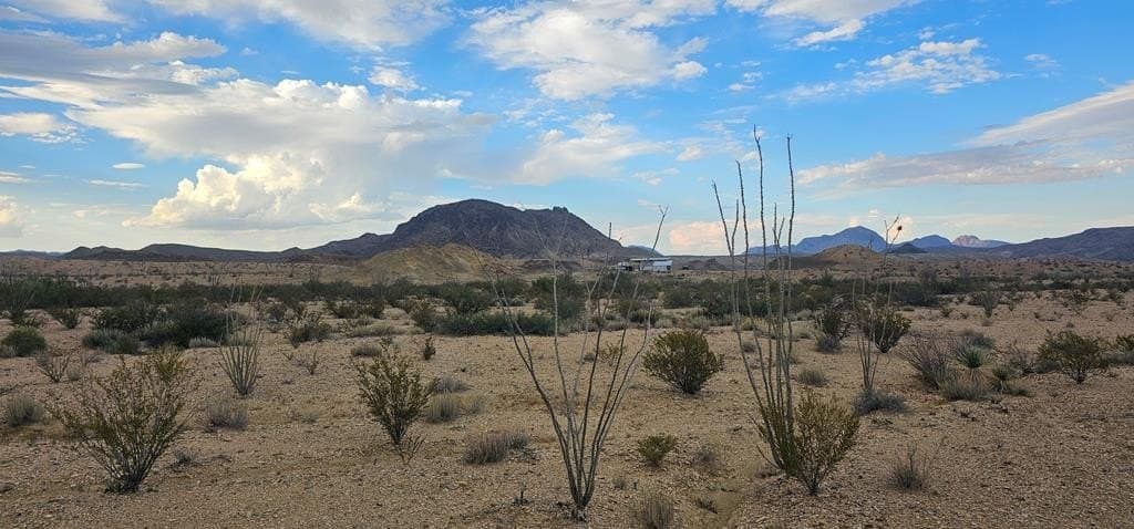 5 acres in Brewster County - photo 11