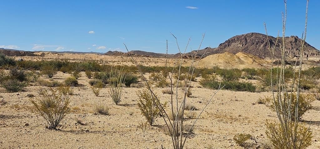 5 acres in Brewster County - photo 15