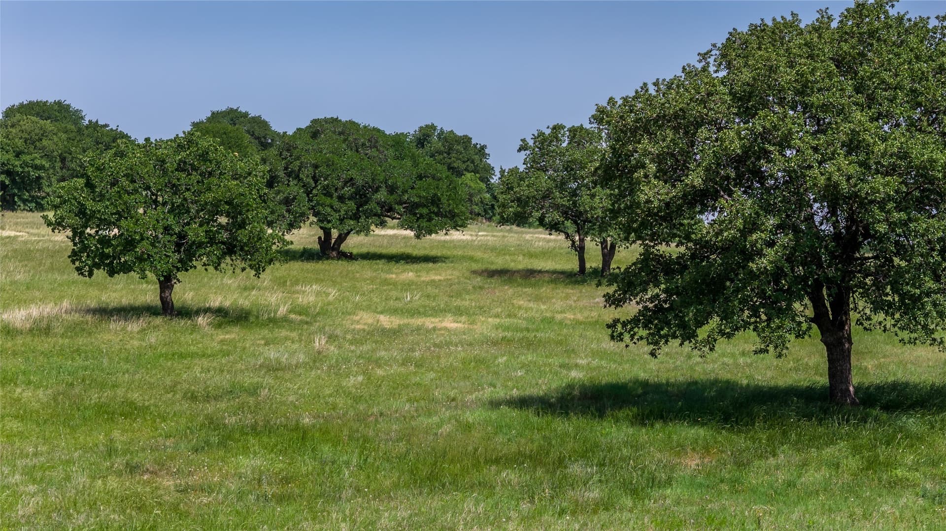 35 acres in Erath County - photo 9