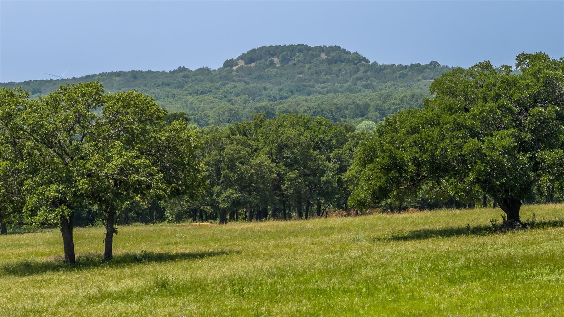 35 acres in Erath County - photo 10