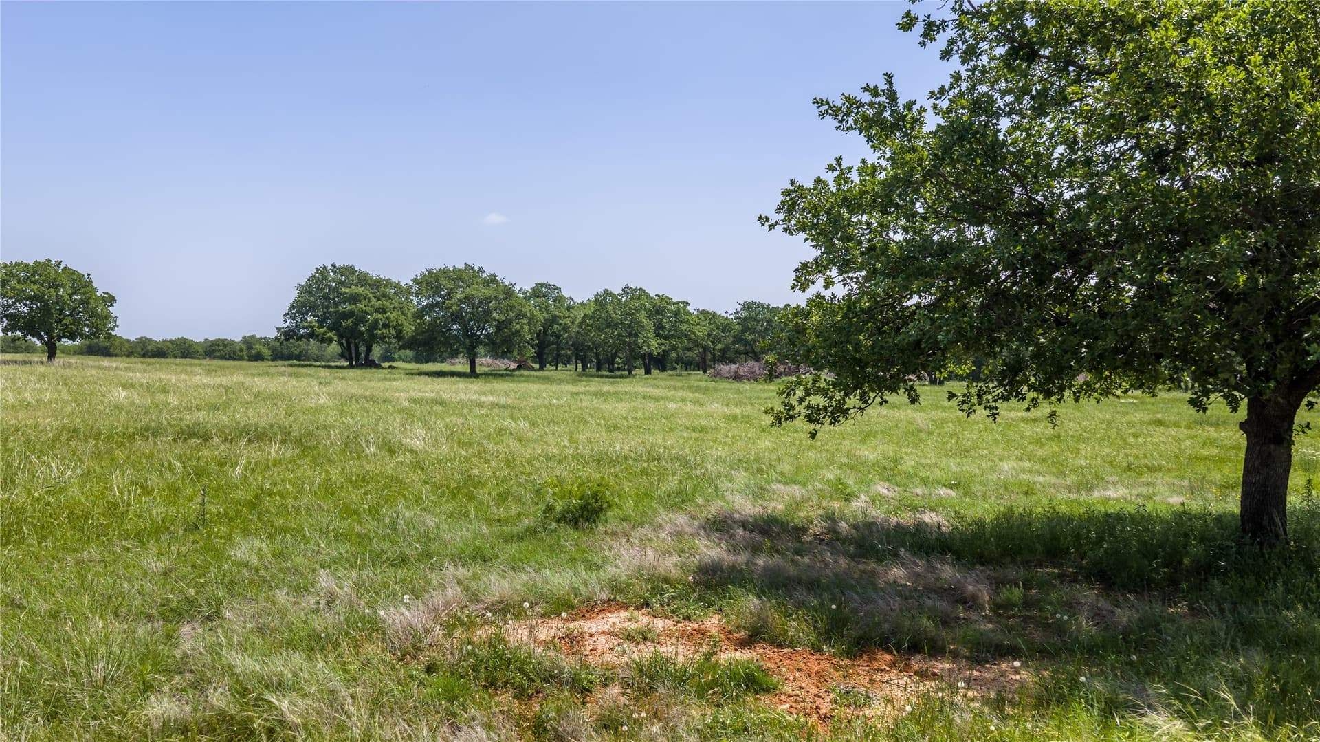 35 acres in Erath County - photo 13
