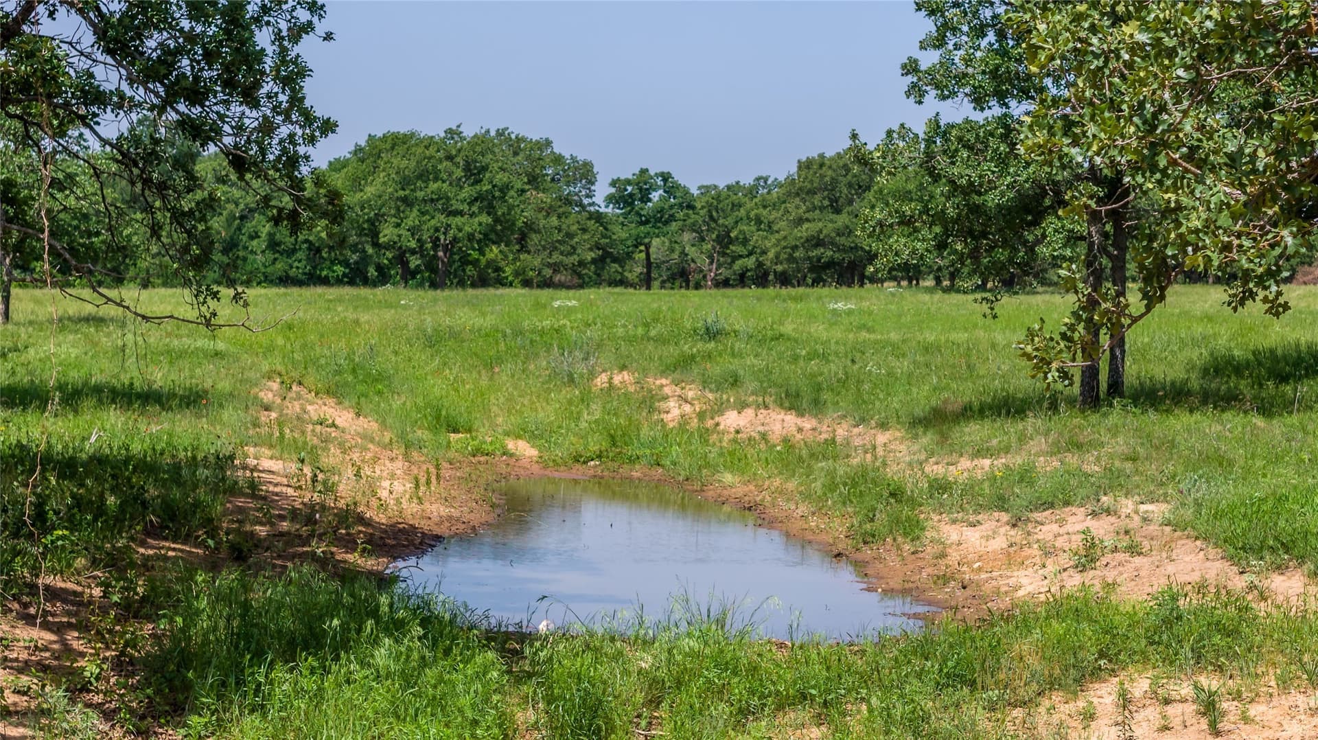 35 acres in Erath County gallery image 4