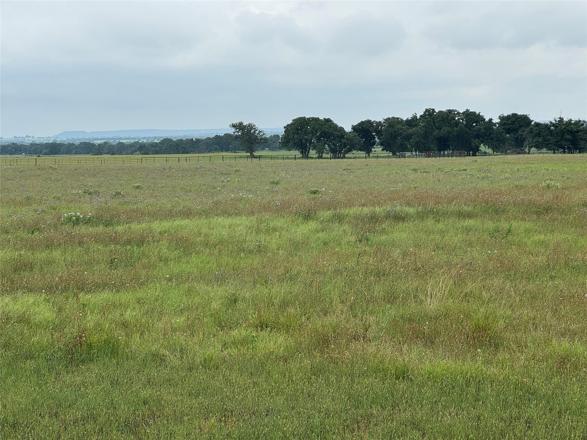 35 acres in Erath County - photo 16