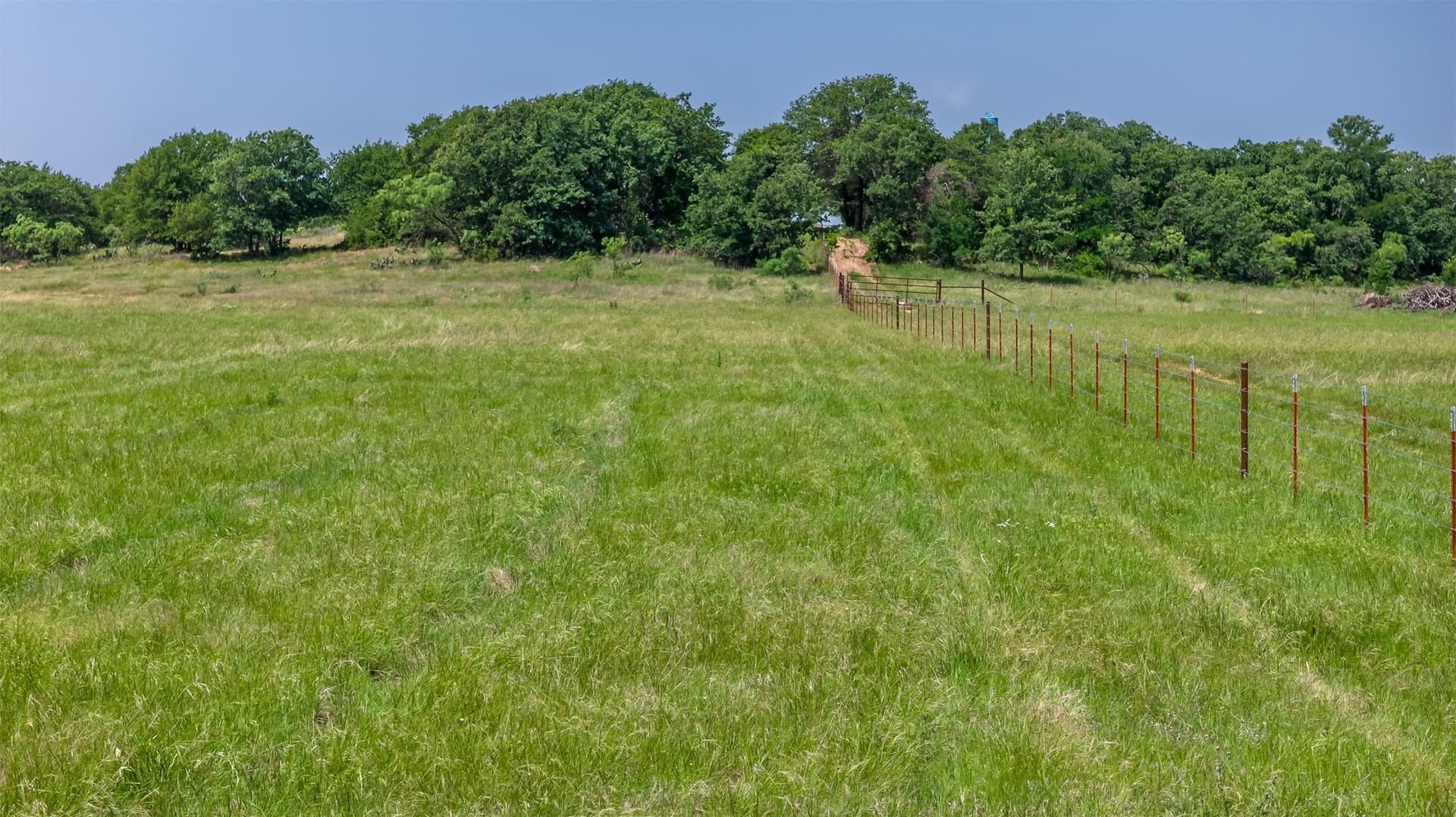 35 acres in Erath County gallery image 3