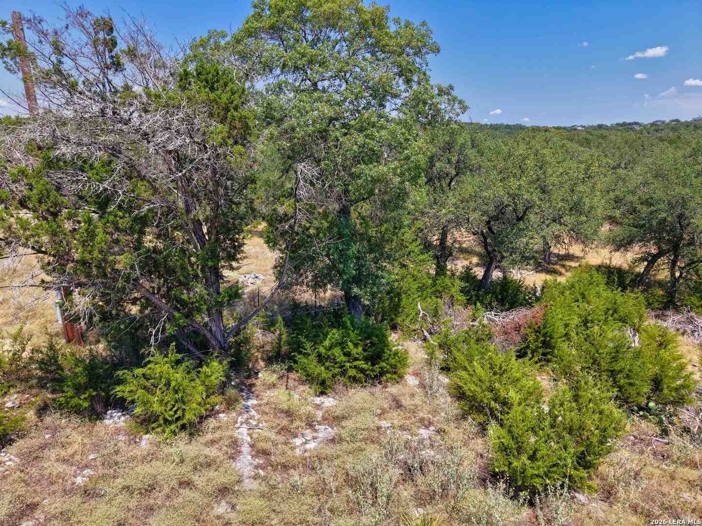 0.5 acres in Comal County - photo 4