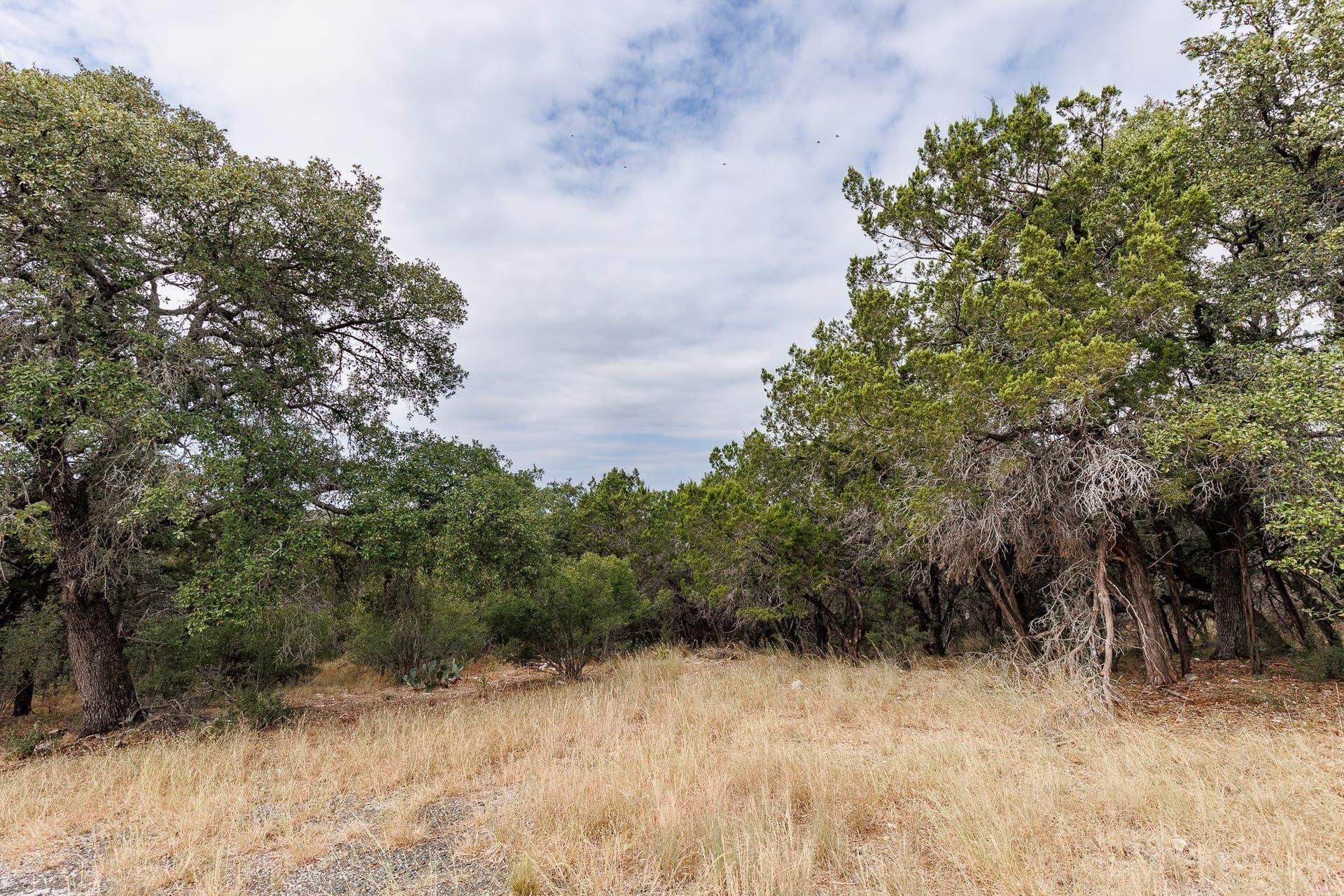 0.3 acres in Burnet County - photo 7