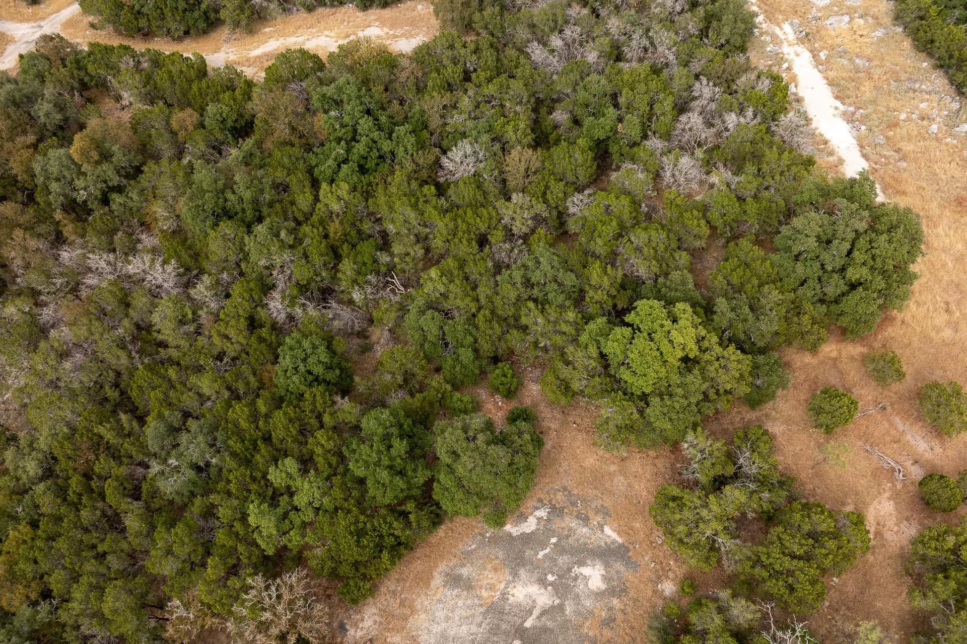 0.3 acres in Burnet County - photo 8