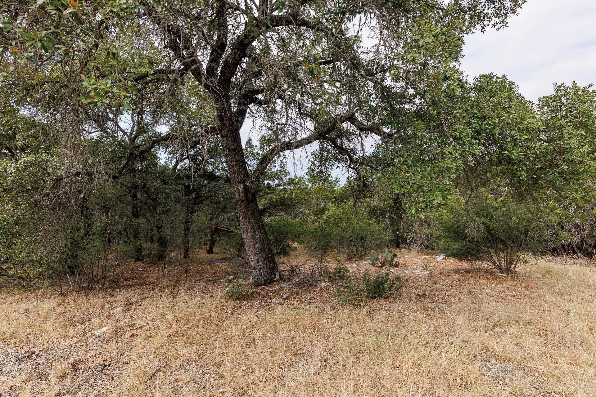 0.3 acres in Burnet County featured view