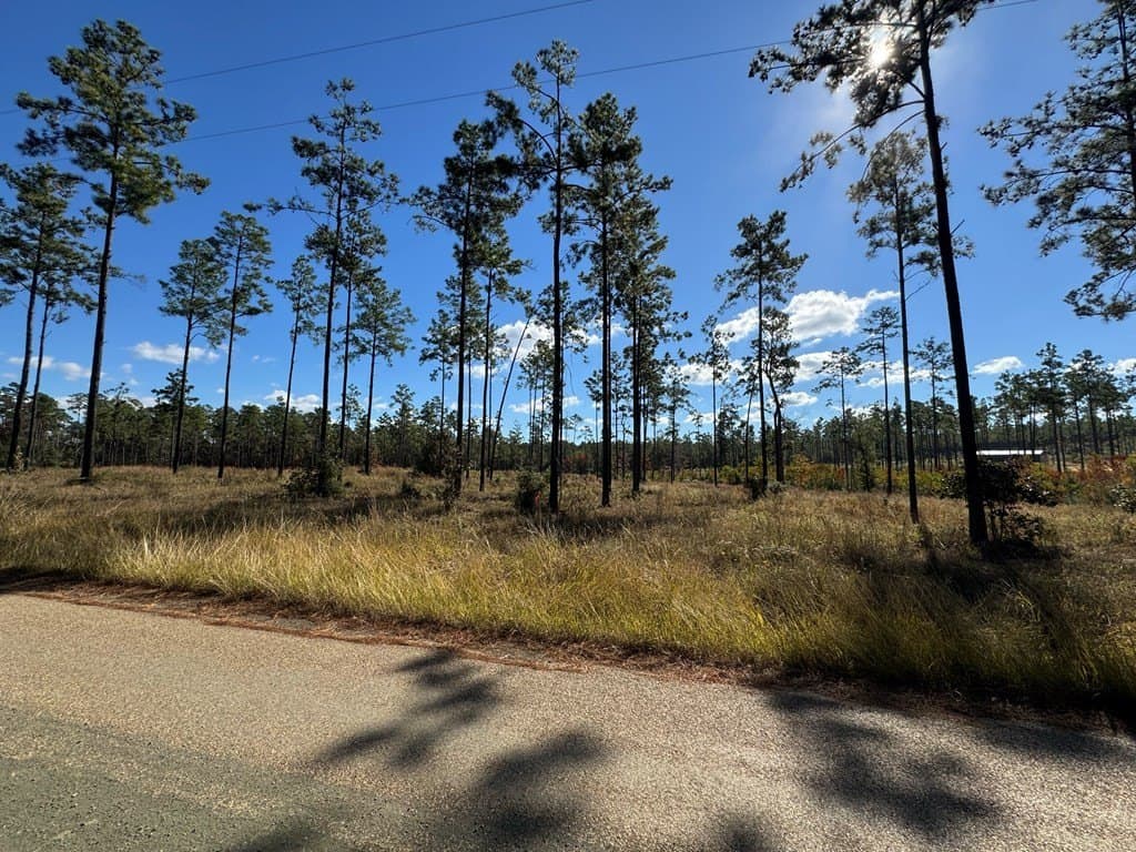 1.03 acres in Texas County - photo 8