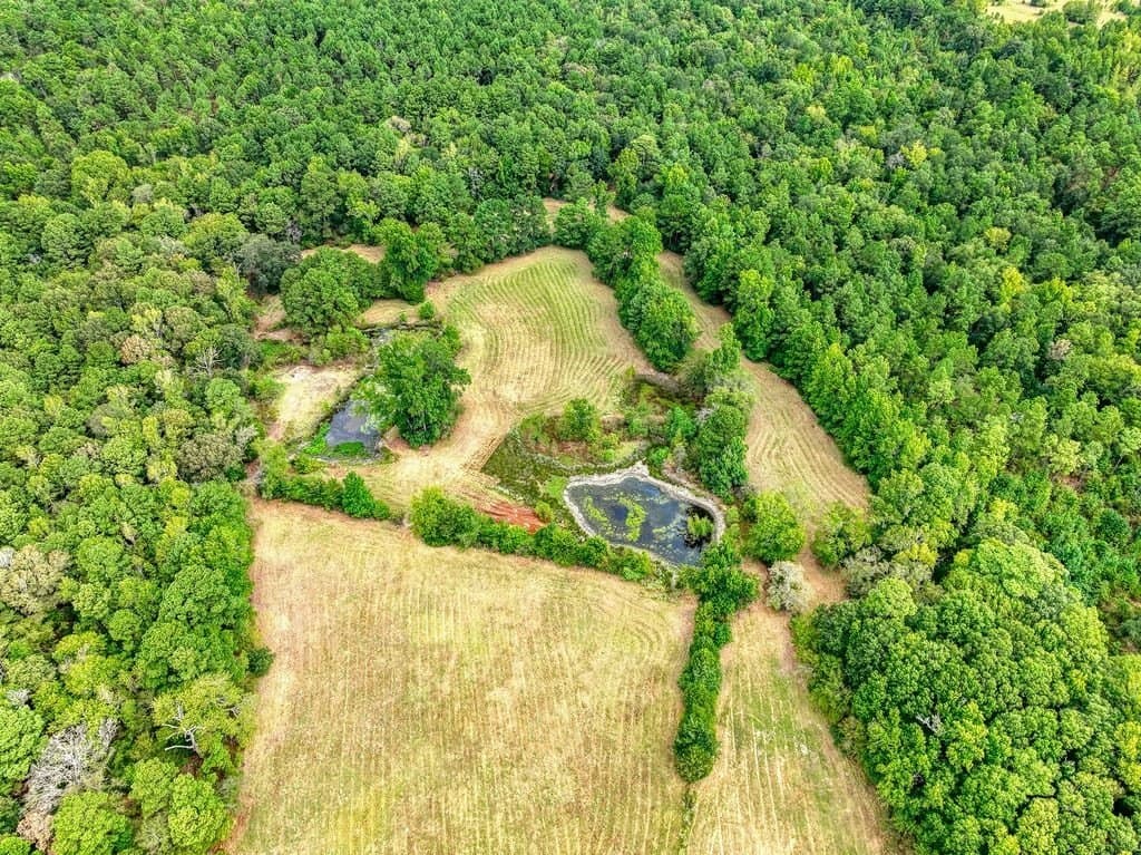 18 acres in Anderson County - photo 11