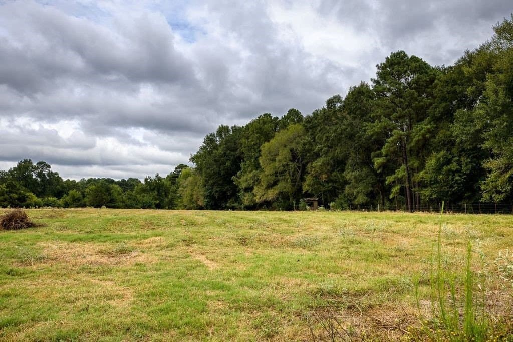18 acres in Anderson County - photo 15