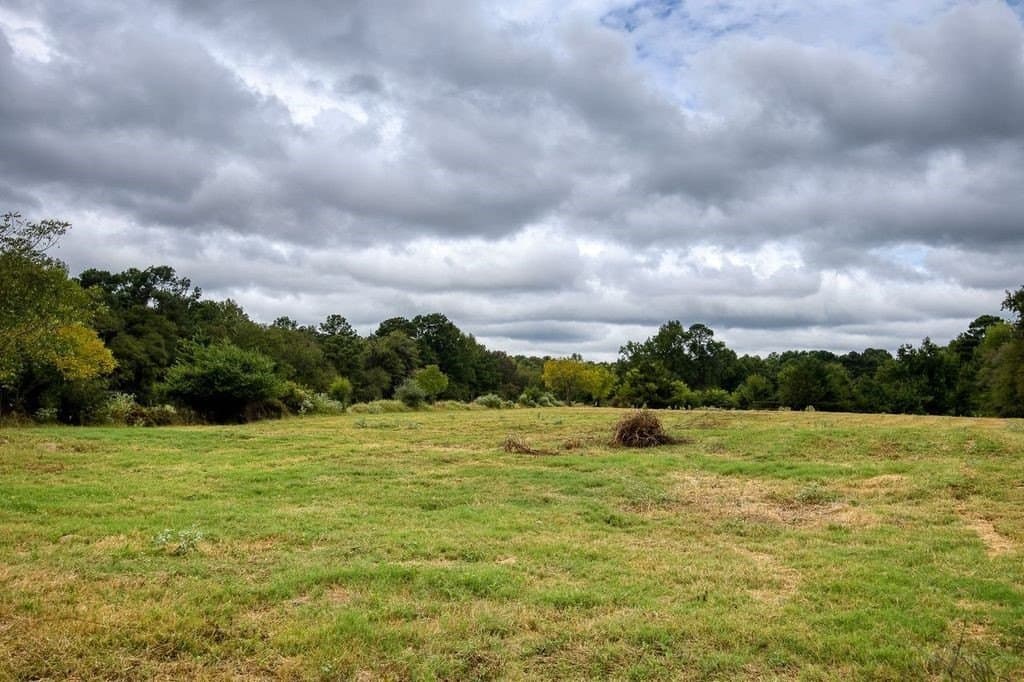 18 acres in Anderson County - photo 14