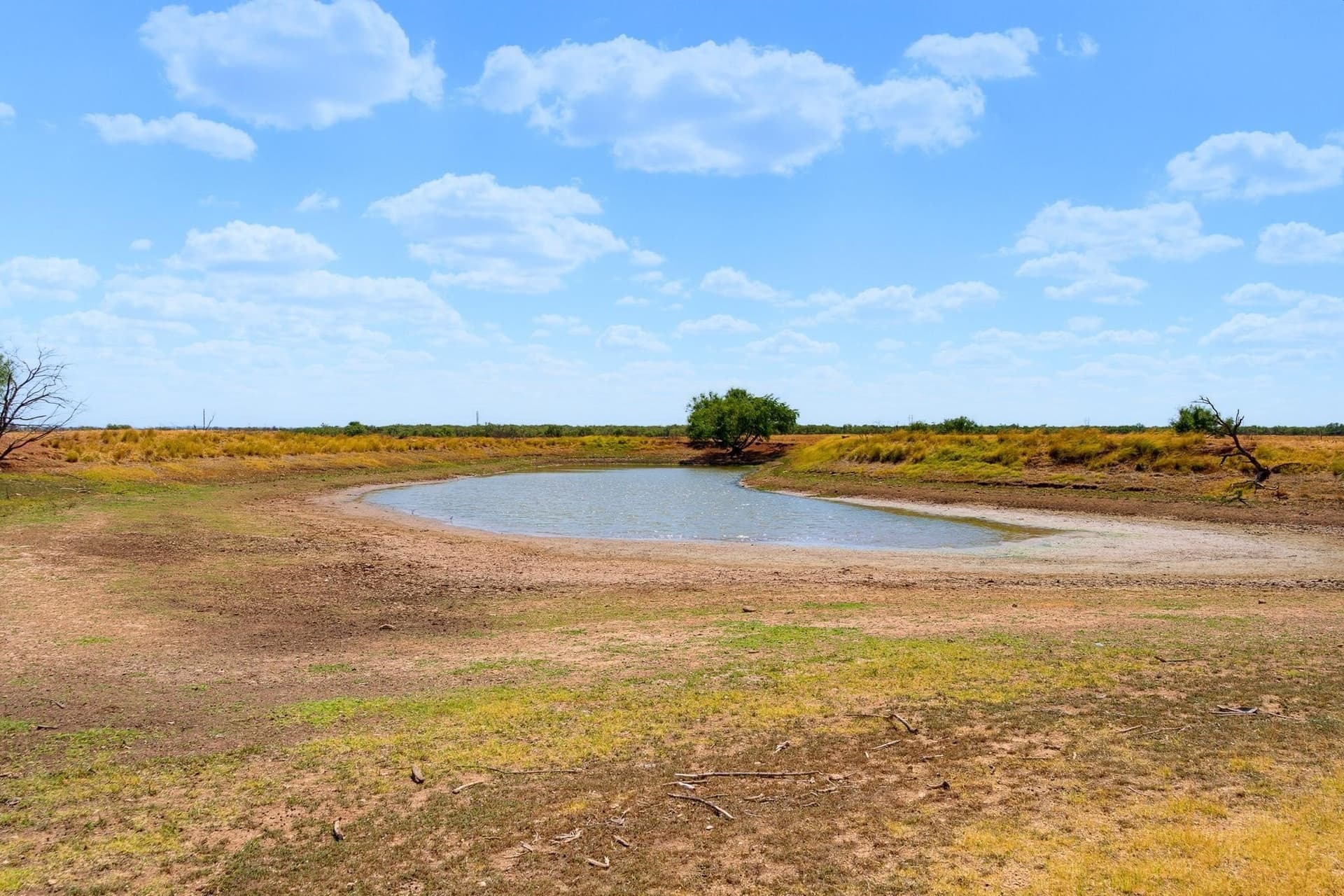 10.16 acres in Taylor County - photo 37