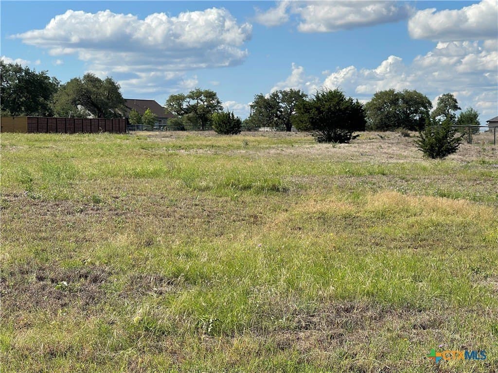 0.31 acres in Blanco County gallery image 2