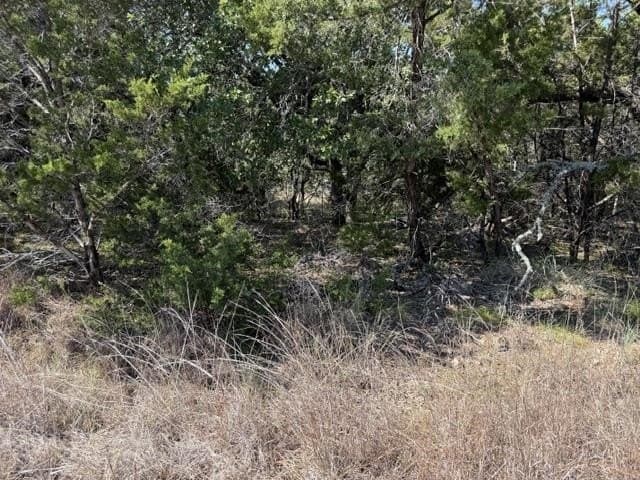0.22 acres in Burnet County - photo 3