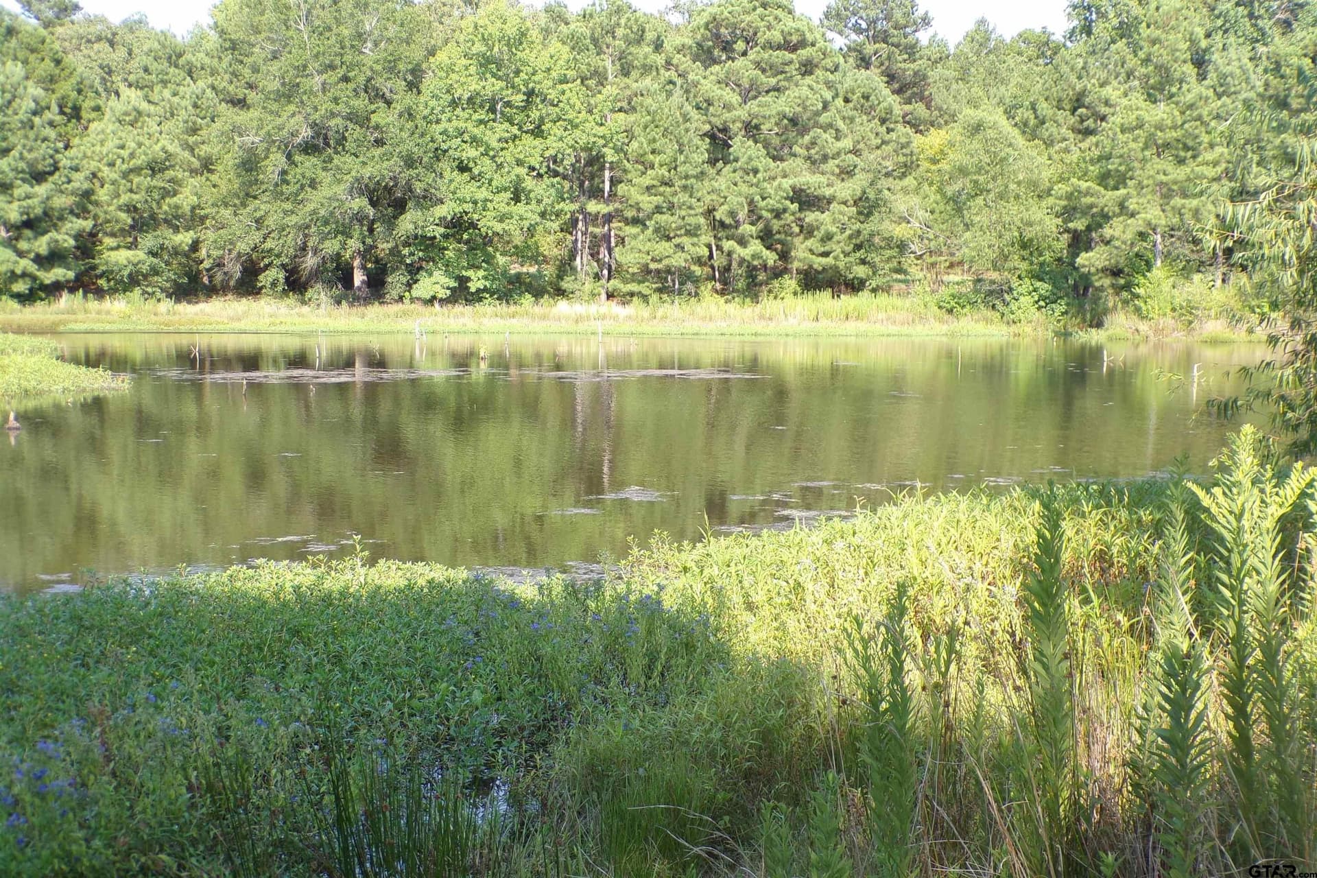 38.7 acres in Smith County - photo 22
